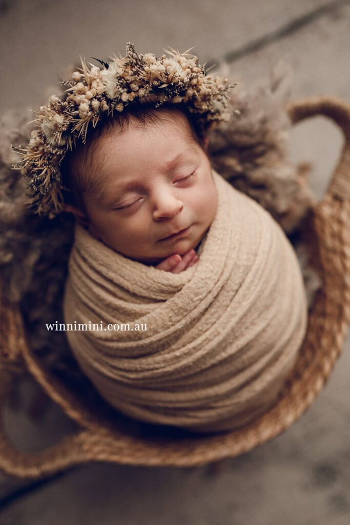 newborn baby family photographer tanha photography photograph photos photo babies gold coast brisbane the best family picture pictures tanha basile winni mini