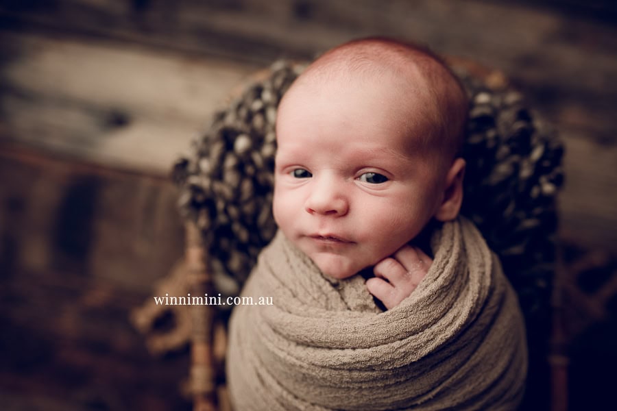 newborn baby family photographer tanha photography photograph photos photo babies gold coast brisbane the best family picture pictures tanha basile winni mini