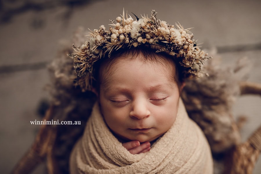 newborn baby family photographer tanha photography photograph photos photo babies gold coast brisbane the best family picture pictures tanha basile winni mini