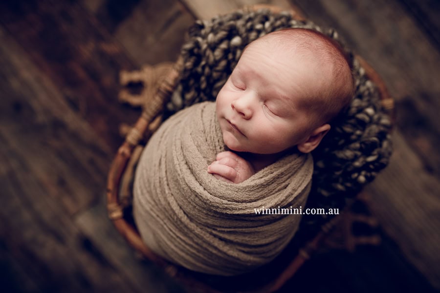 newborn baby family photographer tanha photography photograph photos photo babies gold coast brisbane the best family picture pictures tanha basile winni mini