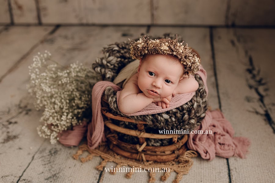 newborn baby family photographer tanha photography photograph photos photo babies gold coast brisbane the best family picture pictures tanha basile winni mini