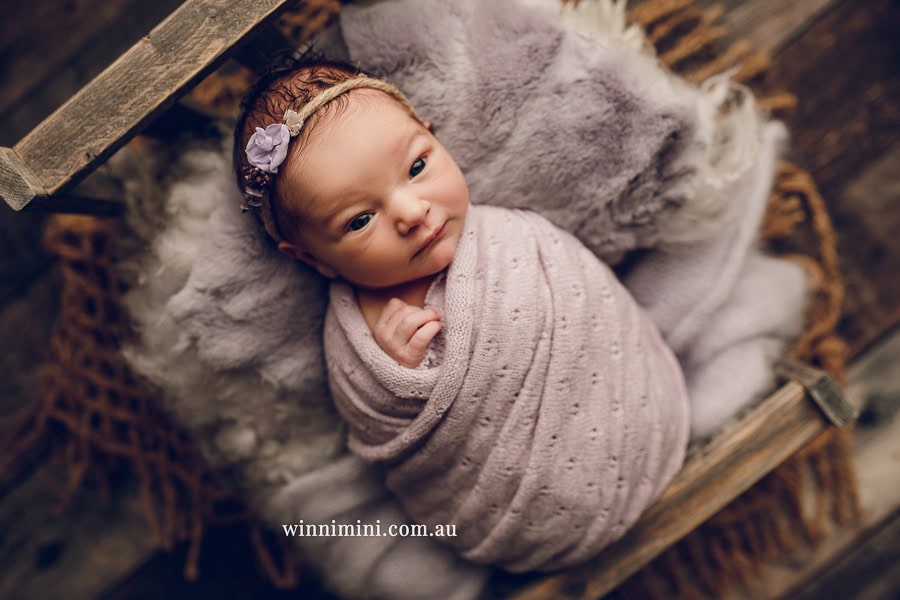 newborn baby family photographer tanha photography photograph photos photo babies gold coast brisbane the best family picture pictures tanha basile winni mini