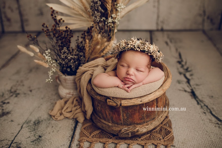 newborn baby family photographer tanha photography photograph photos photo babies gold coast brisbane the best family picture pictures tanha basile winni mini