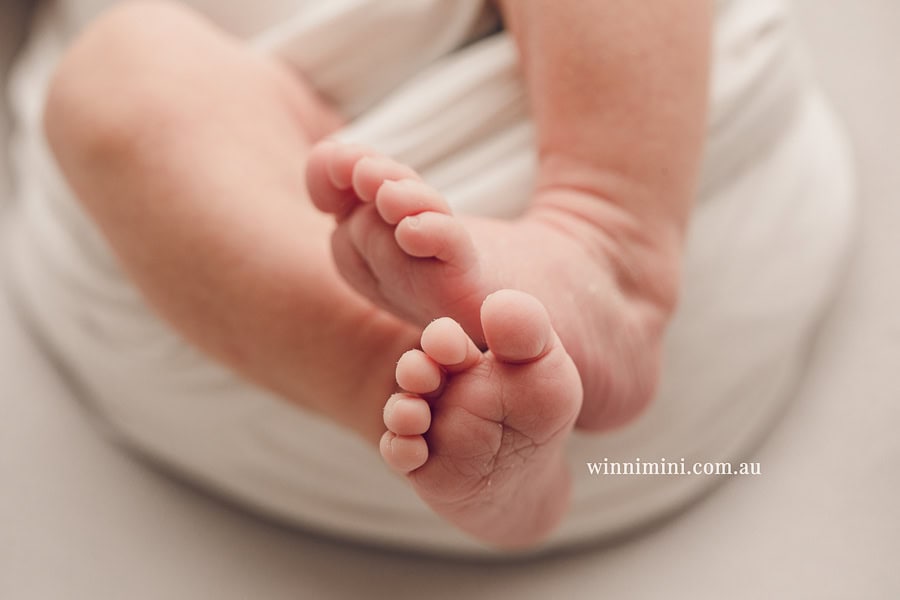 newborn baby family photographer tanha photography photograph photos photo babies gold coast brisbane the best family picture pictures tanha basile winni mini