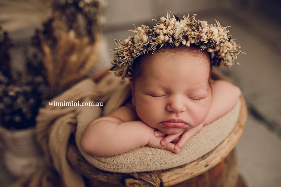 newborn baby family photographer tanha photography photograph photos photo babies gold coast brisbane the best family picture pictures tanha basile winni mini