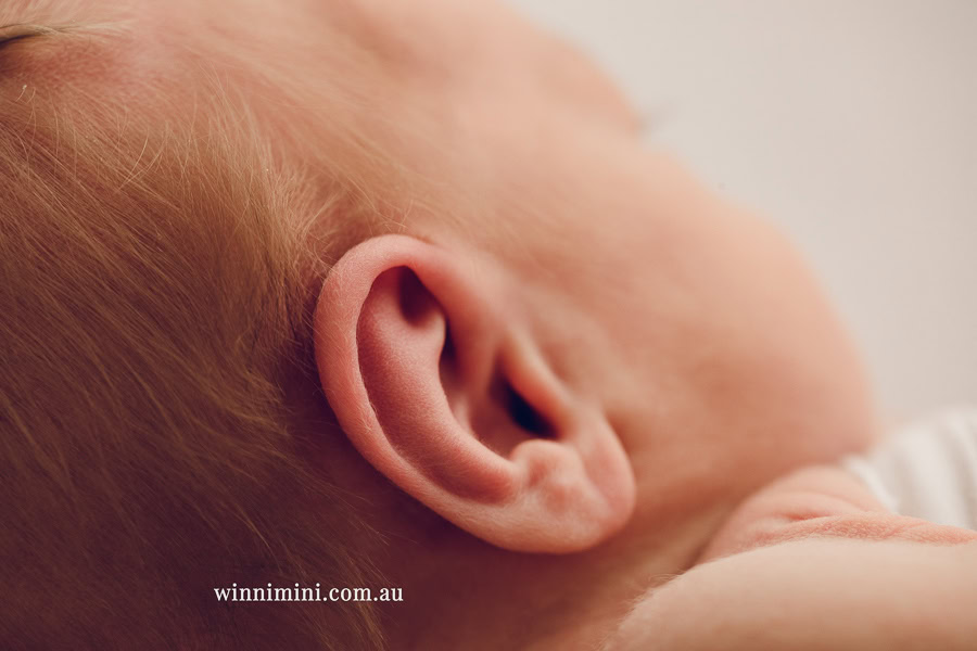 newborn baby family photographer tanha photography photograph photos photo babies gold coast brisbane the best family picture pictures tanha basile winni mini
