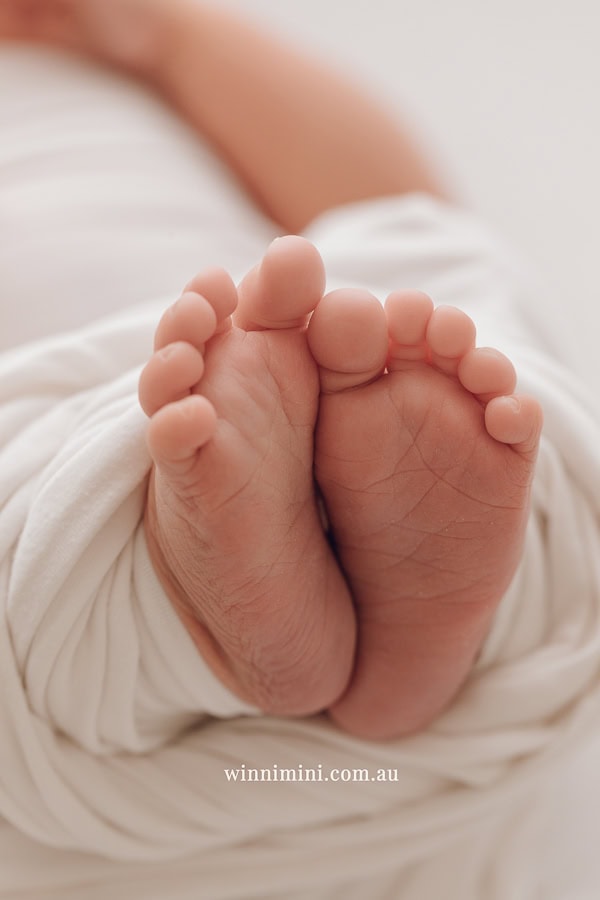 newborn baby family photographer tanha photography photograph photos photo babies gold coast brisbane the best family picture pictures tanha basile winni mini