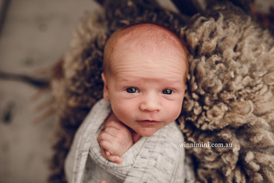 newborn baby family photographer tanha photography photograph photos photo babies gold coast brisbane the best family picture pictures tanha basile winni mini