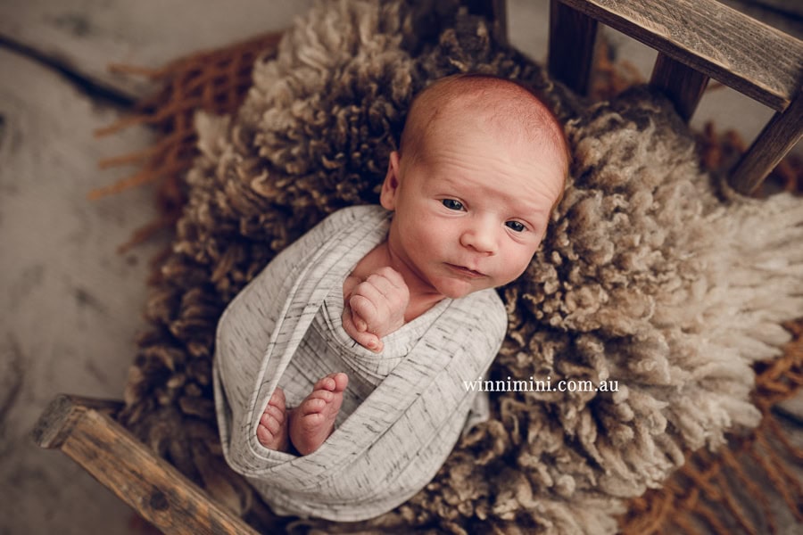 newborn baby family photographer tanha photography photograph photos photo babies gold coast brisbane the best family picture pictures tanha basile winni mini