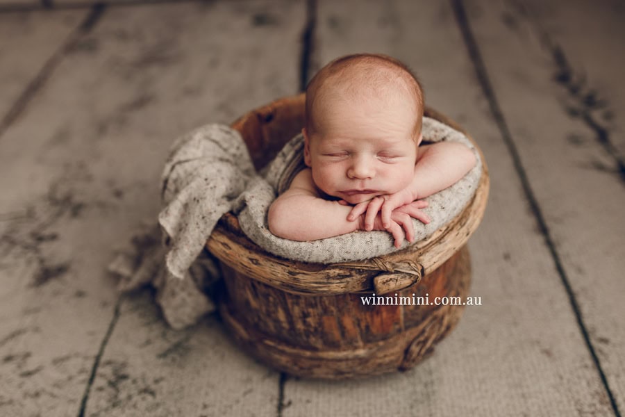 newborn baby family photographer tanha photography photograph photos photo babies gold coast brisbane the best family picture pictures tanha basile winni mini