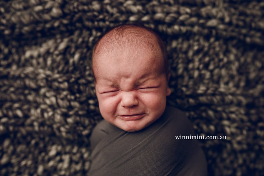 newborn baby family photographer tanha photography photograph photos photo babies gold coast brisbane the best family picture pictures tanha basile winni mini