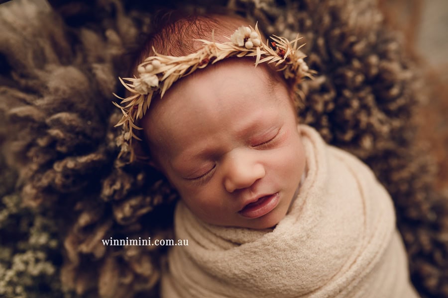 newborn baby family photographer tanha photography photograph photos photo babies gold coast brisbane the best family picture pictures tanha basile winni mini