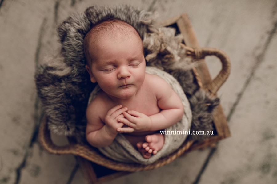 newborn baby family photographer tanha photography photograph photos photo babies gold coast brisbane the best family picture pictures tanha basile winni mini
