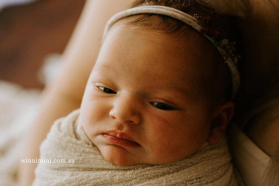 newborn baby family photographer tanha photography photograph photos photo babies gold coast brisbane the best family picture pictures tanha basile winni mini