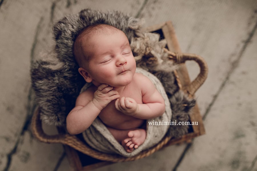 newborn baby family photographer tanha photography photograph photos photo babies gold coast brisbane the best family picture pictures tanha basile winni mini