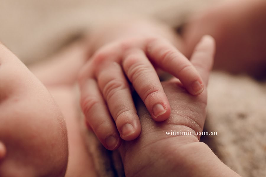 newborn baby family photographer tanha photography photograph photos photo babies gold coast brisbane the best family picture pictures tanha basile winni mini