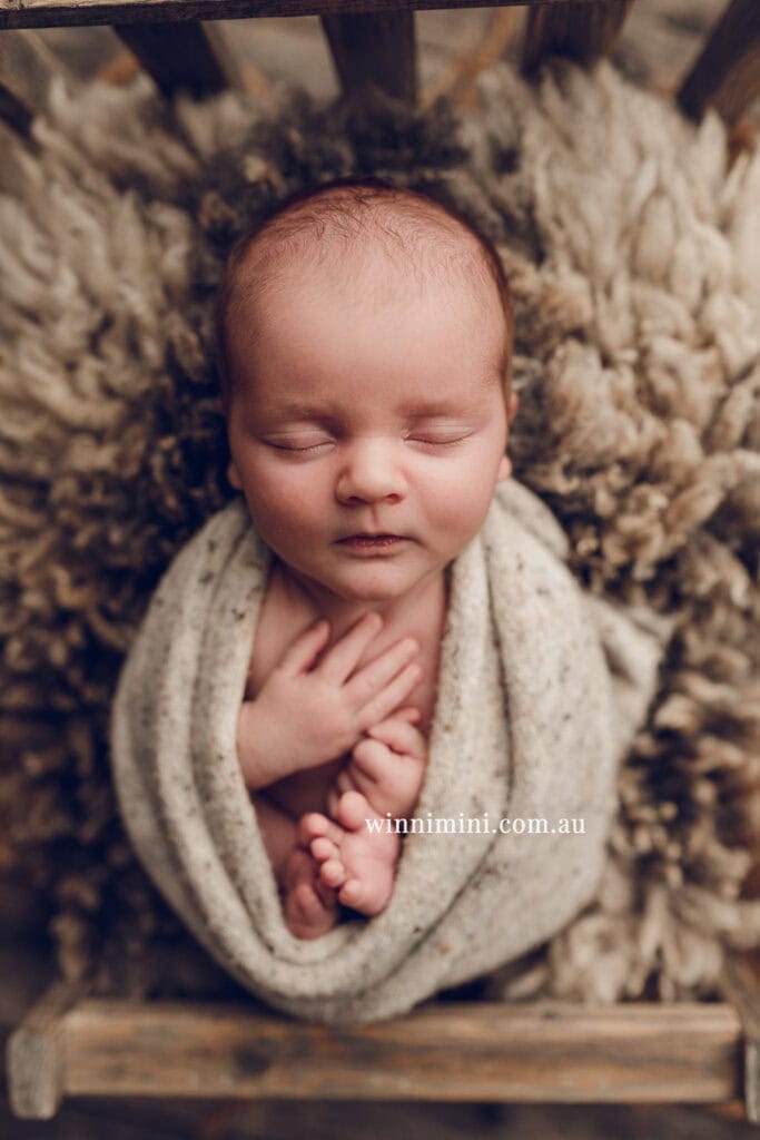 newborn baby family photographer tanha photography photograph photos photo babies gold coast brisbane the best family picture pictures tanha basile winni mini