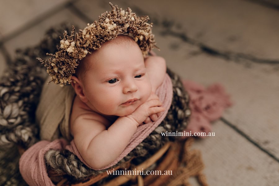 newborn baby family photographer tanha photography photograph photos photo babies gold coast brisbane the best family picture pictures tanha basile winni mini