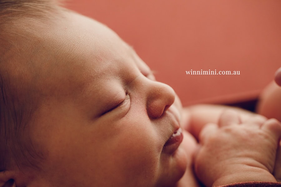 newborn baby family photographer tanha photography photograph photos photo babies gold coast brisbane the best family picture pictures tanha basile winni mini
