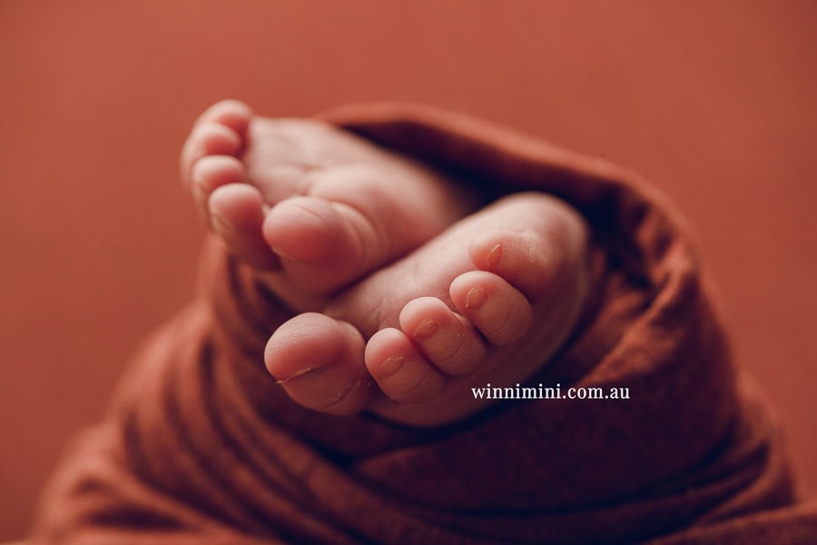 newborn baby family photographer tanha photography photograph photos photo babies gold coast brisbane the best family picture pictures tanha basile winni mini