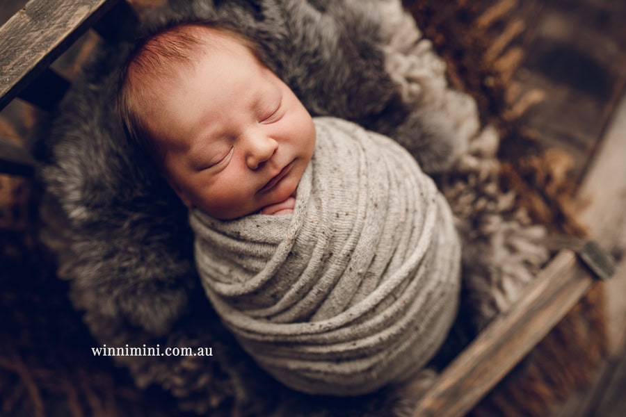 newborn baby family photographer tanha photography photograph photos photo babies gold coast brisbane the best family picture pictures tanha basile winni mini
