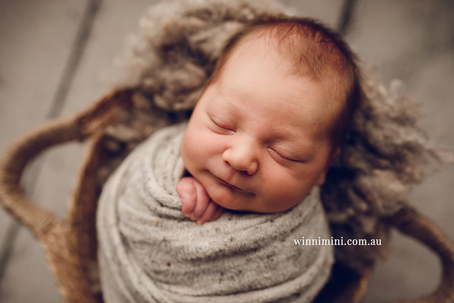 newborn baby family photographer tanha photography photograph photos photo babies gold coast brisbane the best family picture pictures tanha basile winni mini