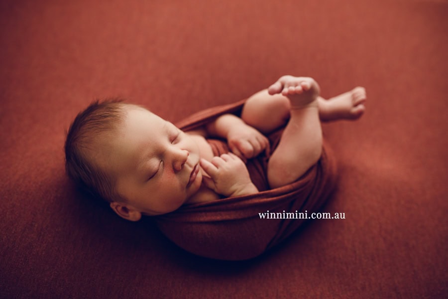 newborn baby family photographer tanha photography photograph photos photo babies gold coast brisbane the best family picture pictures tanha basile winni mini