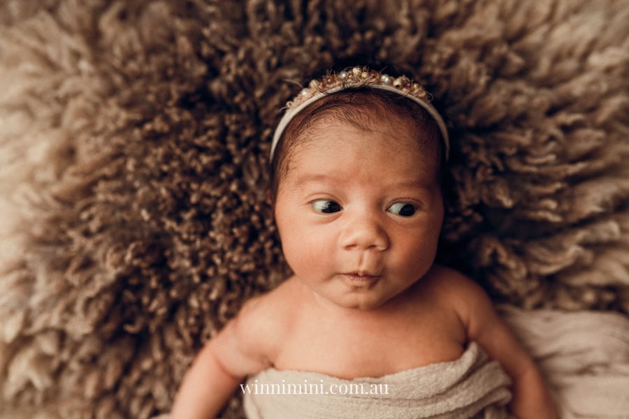newborn baby family photographer tanha photography photograph photos photo babies gold coast brisbane the best family picture pictures tanha basile winni mini