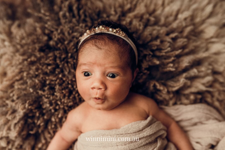 newborn baby family photographer tanha photography photograph photos photo babies gold coast brisbane the best family picture pictures tanha basile winni mini