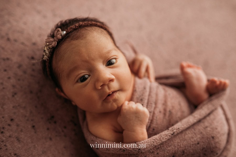 newborn baby family photographer tanha photography photograph photos photo babies gold coast brisbane the best family picture pictures tanha basile winni mini