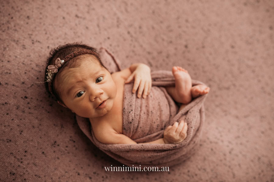 newborn baby family photographer tanha photography photograph photos photo babies gold coast brisbane the best family picture pictures tanha basile winni mini