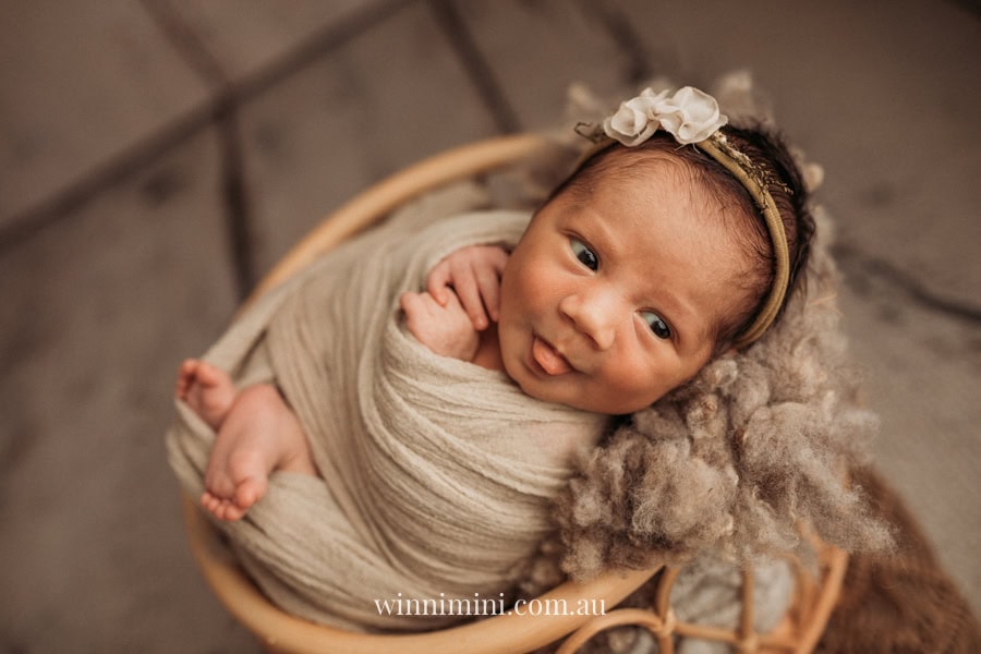 newborn baby family photographer tanha photography photograph photos photo babies gold coast brisbane the best family picture pictures tanha basile winni mini