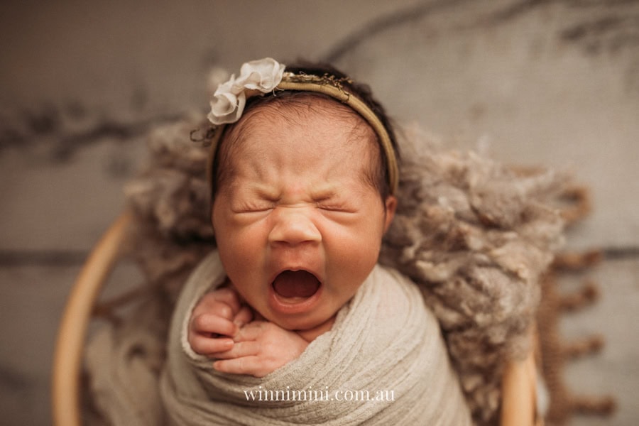 newborn baby family photographer tanha photography photograph photos photo babies gold coast brisbane the best family picture pictures tanha basile winni mini
