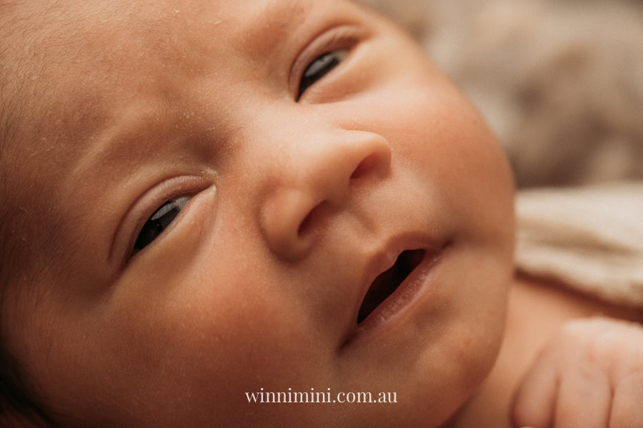 newborn baby family photographer tanha photography photograph photos photo babies gold coast brisbane the best family picture pictures tanha basile winni mini