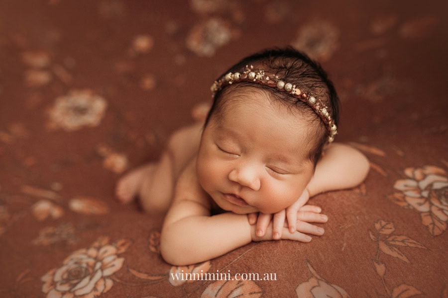newborn baby family photographer tanha photography photograph photos photo babies gold coast brisbane the best family picture pictures tanha basile winni mini