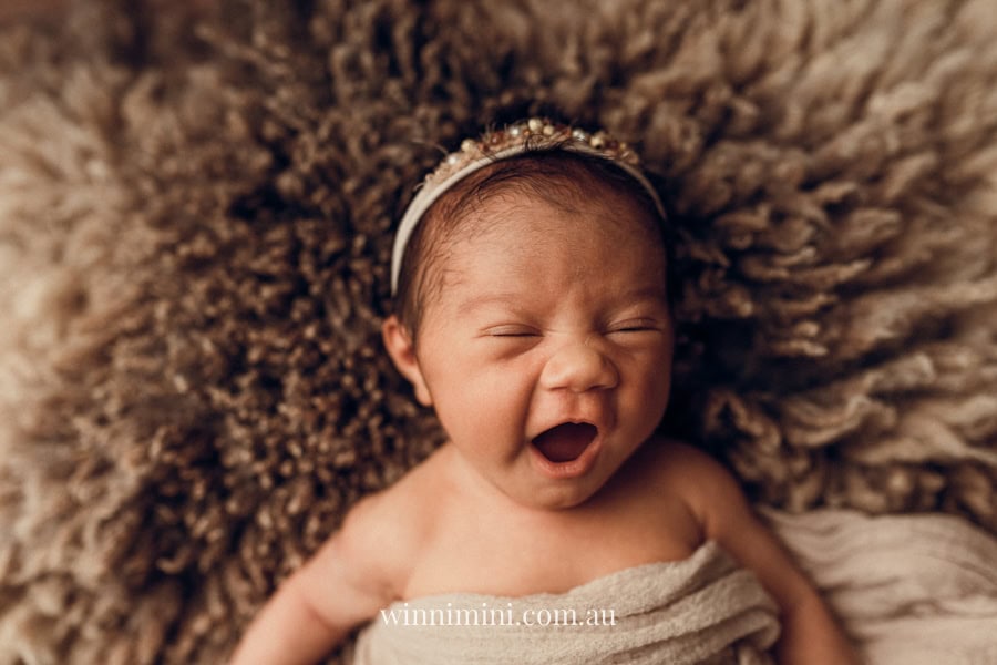 newborn baby family photographer tanha photography photograph photos photo babies gold coast brisbane the best family picture pictures tanha basile winni mini