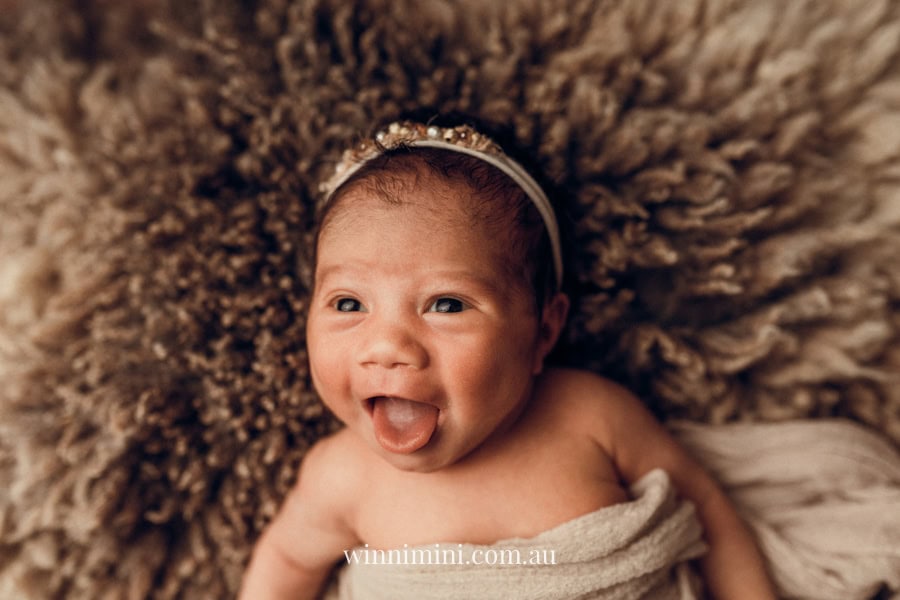 newborn baby family photographer tanha photography photograph photos photo babies gold coast brisbane the best family picture pictures tanha basile winni mini