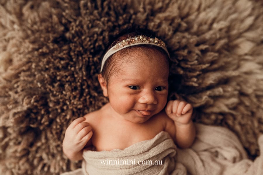 newborn baby family photographer tanha photography photograph photos photo babies gold coast brisbane the best family picture pictures tanha basile winni mini