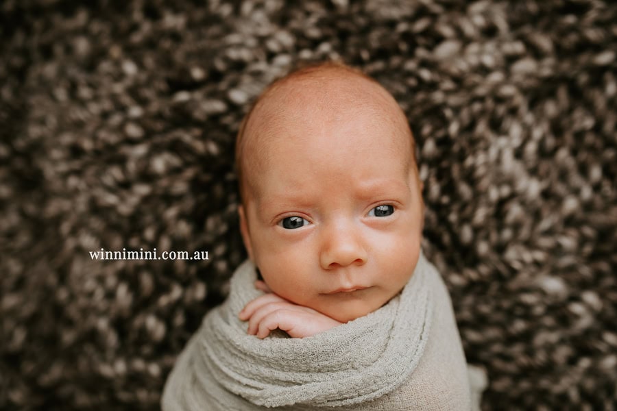 newborn baby family photographer tanha photography photograph photos photo babies gold coast brisbane the best family picture pictures tanha basile winni mini