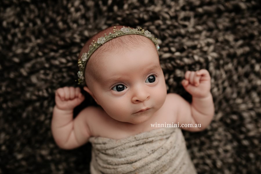 newborn baby family photographer tanha photography photograph photos photo babies gold coast brisbane the best family picture pictures tanha basile winni mini