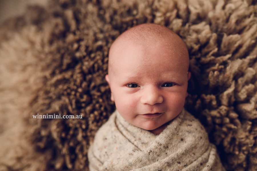 newborn baby family photographer tanha photography photograph photos photo babies gold coast brisbane the best family picture pictures tanha basile winni mini
