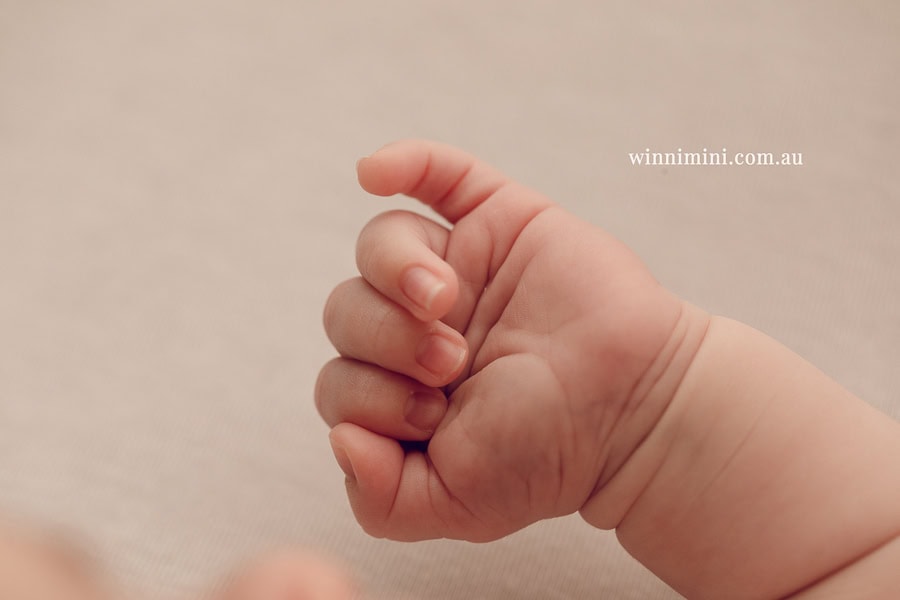newborn baby family photographer tanha photography photograph photos photo babies gold coast brisbane the best family picture pictures tanha basile winni mini
