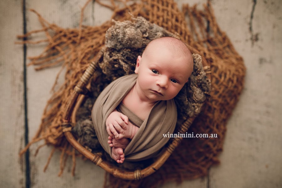 newborn baby family photographer tanha photography photograph photos photo babies gold coast brisbane the best family picture pictures tanha basile winni mini