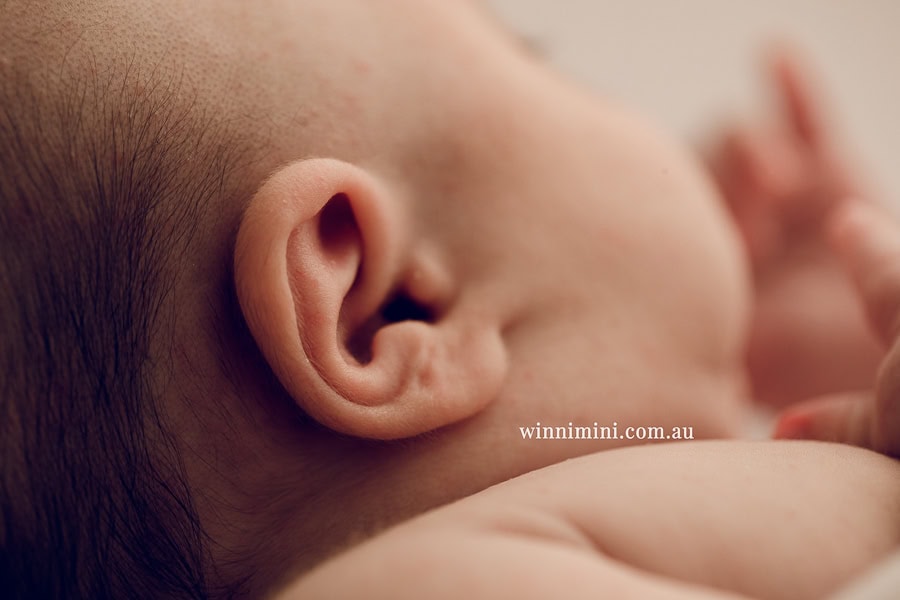 newborn baby family photographer tanha photography photograph photos photo babies gold coast brisbane the best family picture pictures tanha basile winni mini