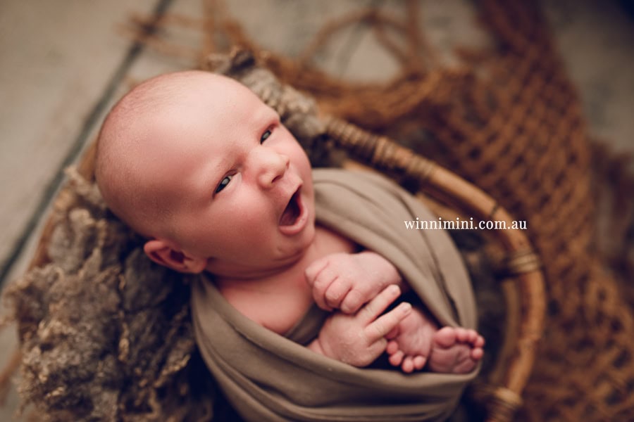 newborn baby family photographer tanha photography photograph photos photo babies gold coast brisbane the best family picture pictures tanha basile winni mini
