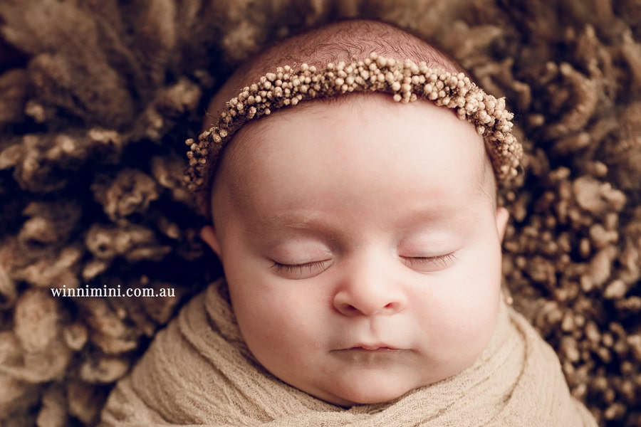newborn baby family photographer tanha photography photograph photos photo babies gold coast brisbane the best family picture pictures tanha basile winni mini