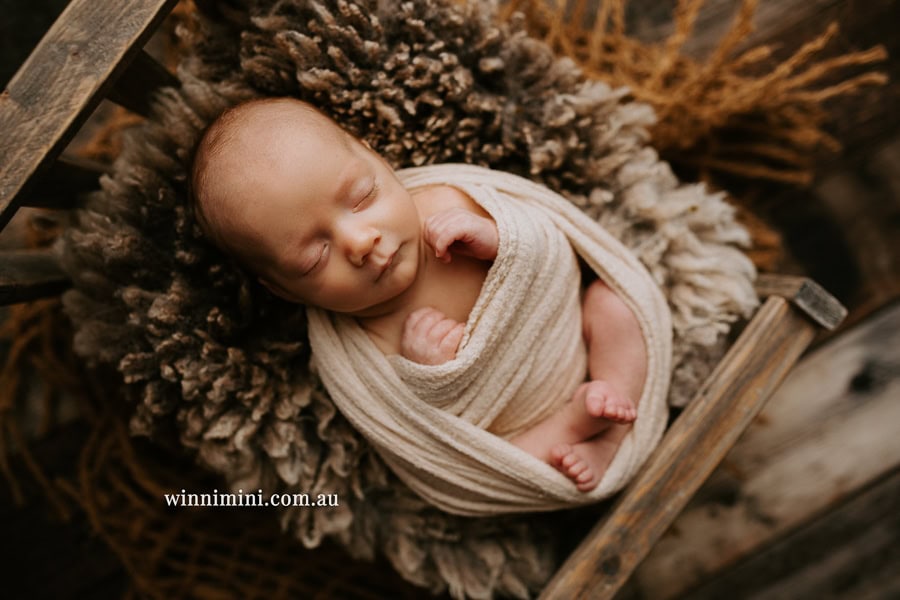 newborn baby family photographer tanha photography photograph photos photo babies gold coast brisbane the best family picture pictures tanha basile winni mini