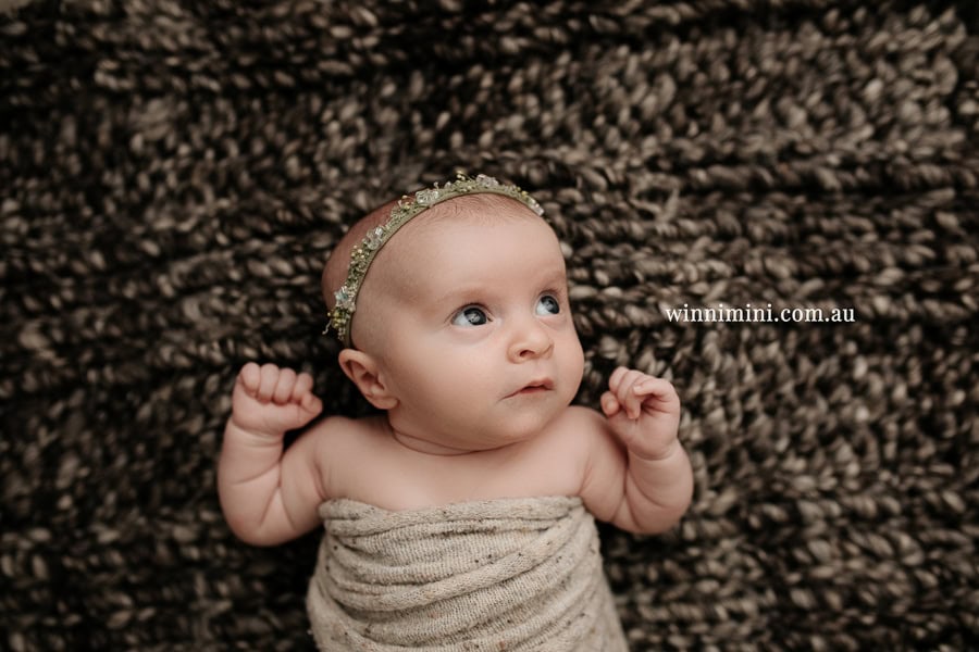 newborn baby family photographer tanha photography photograph photos photo babies gold coast brisbane the best family picture pictures tanha basile winni mini