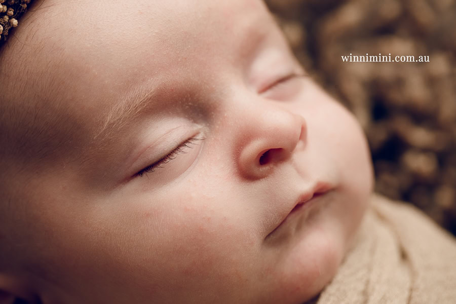 newborn baby family photographer tanha photography photograph photos photo babies gold coast brisbane the best family picture pictures tanha basile winni mini