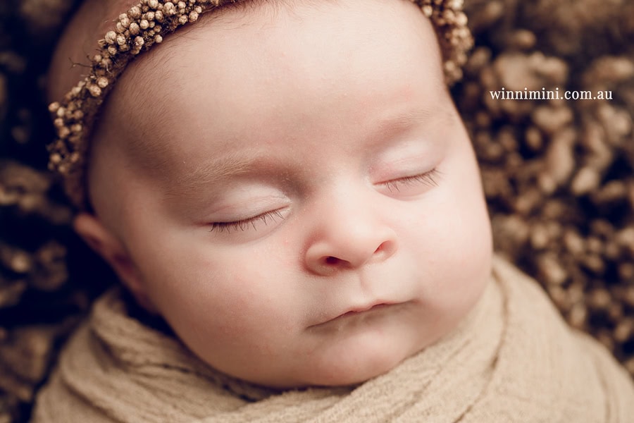 newborn baby family photographer tanha photography photograph photos photo babies gold coast brisbane the best family picture pictures tanha basile winni mini